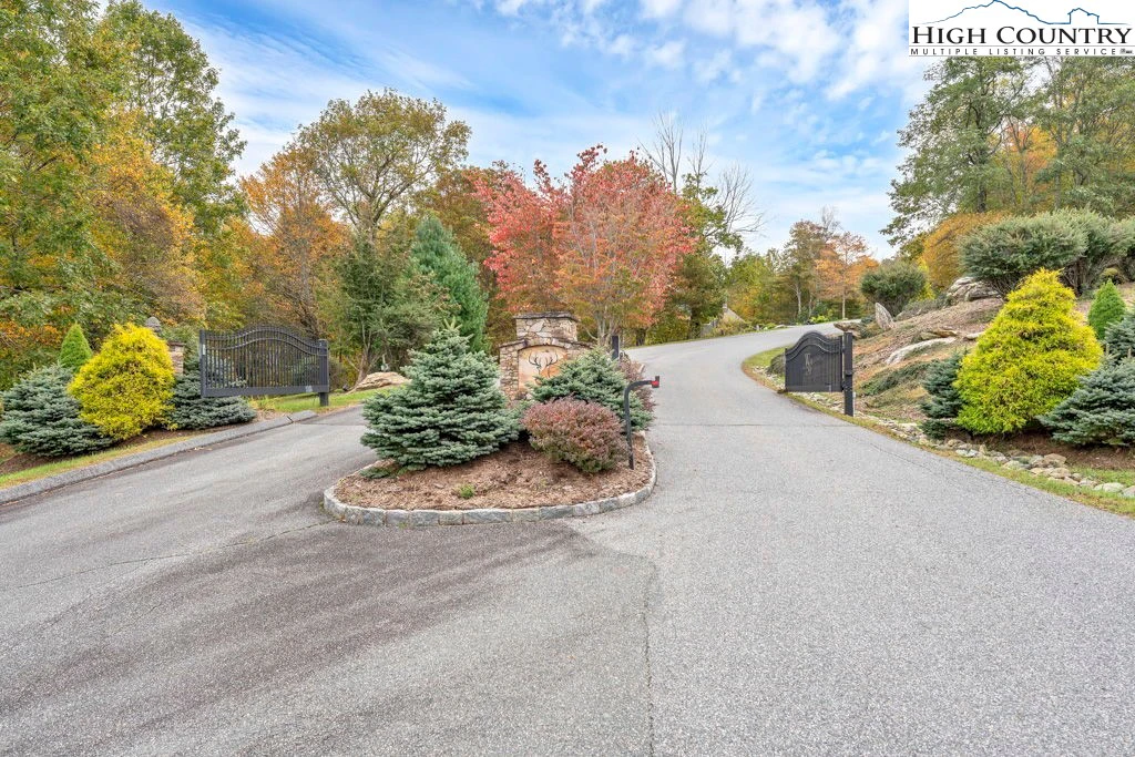 Image number 9 for the current listing