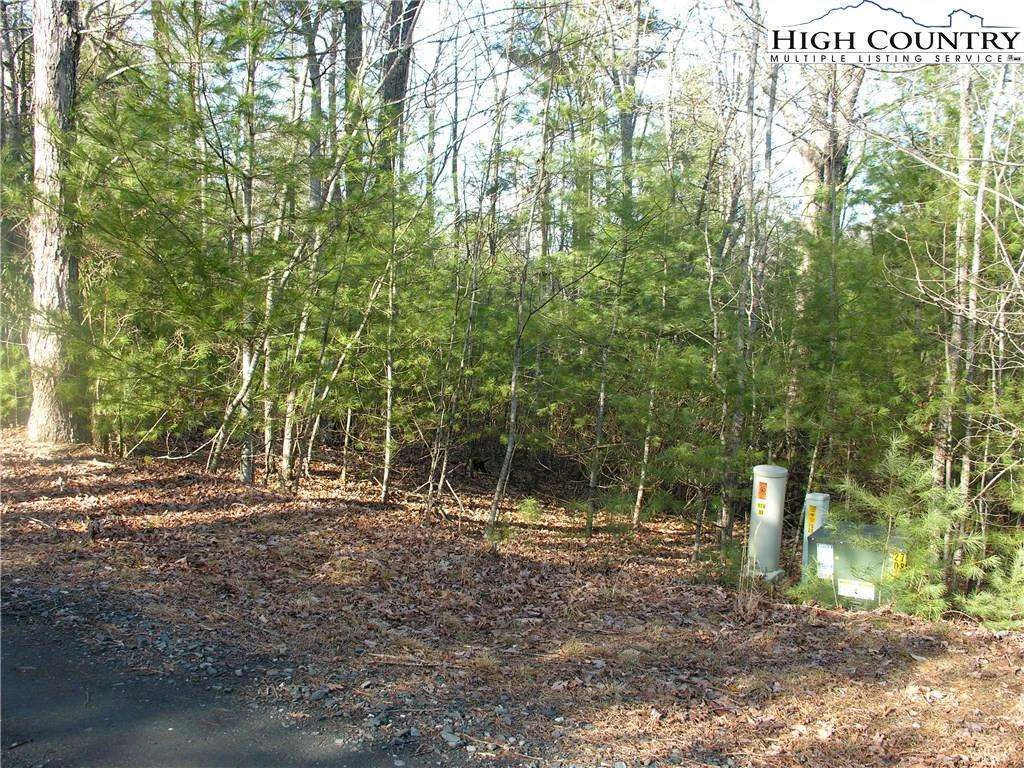 Image number 6 for the current listing
