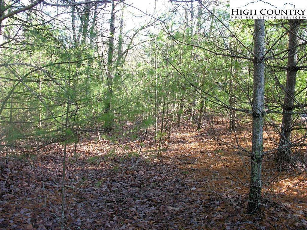 Image number 7 for the current listing