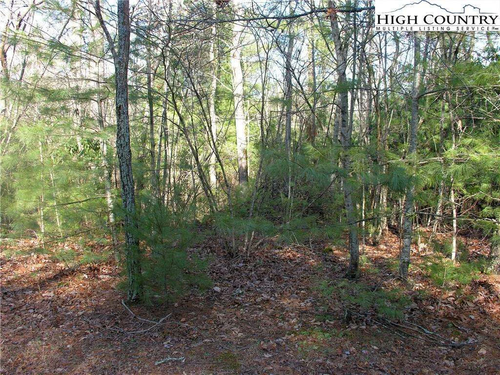Image number 8 for the current listing