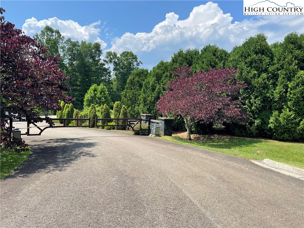 Image number 6 for the current listing