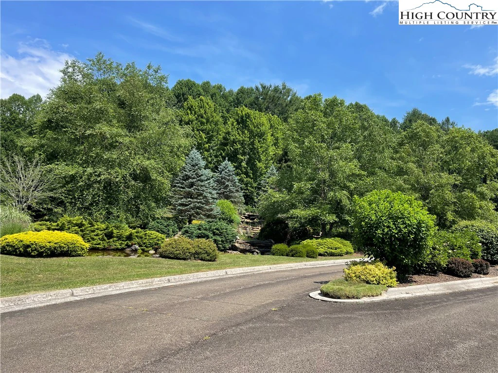 Image number 5 for the current listing
