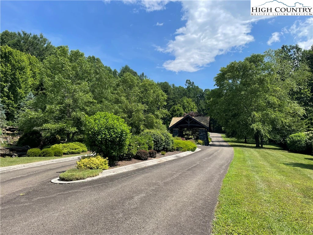 Image number 4 for the current listing
