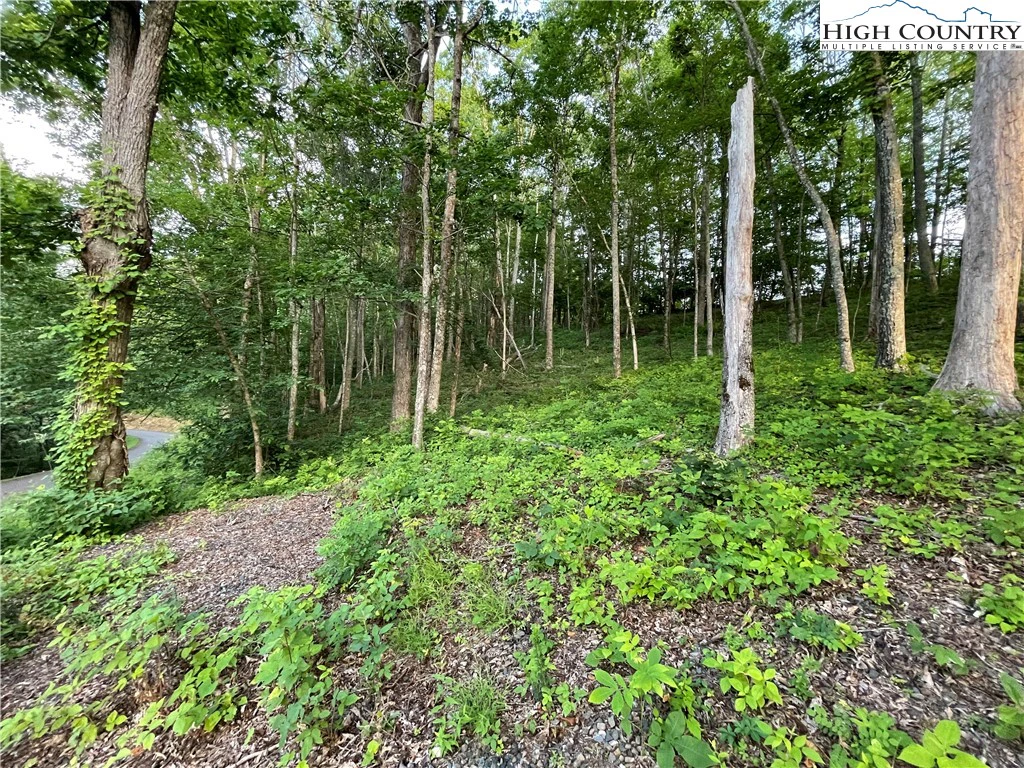 Image number 14 for the current listing