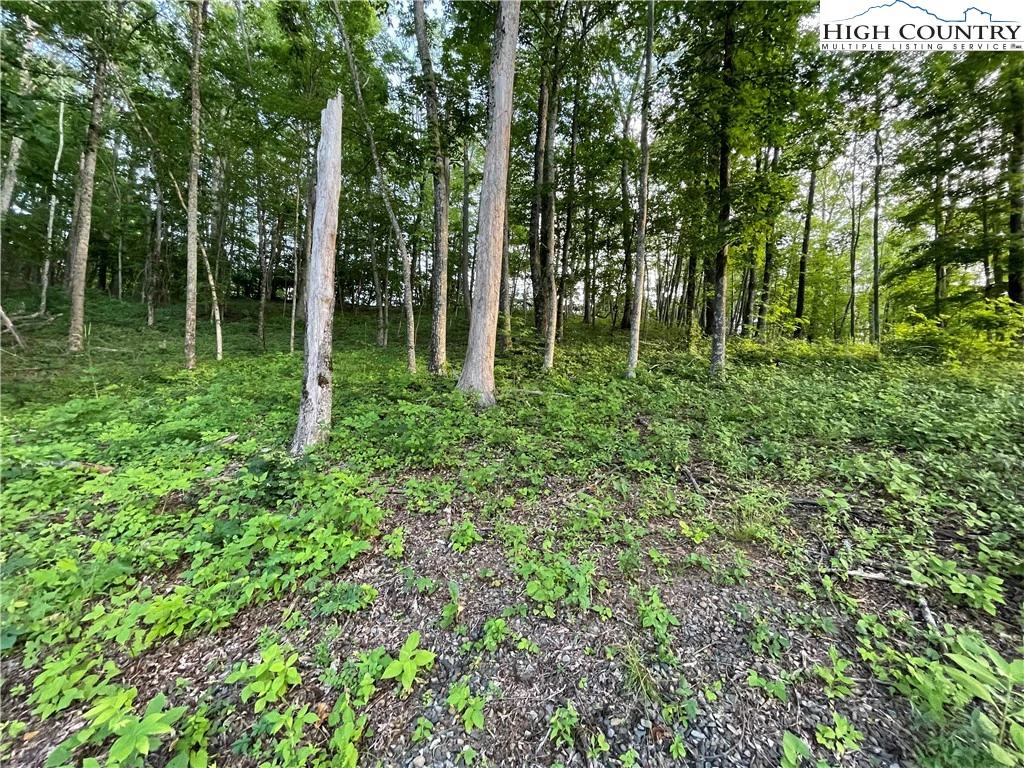 Image number 12 for the current listing