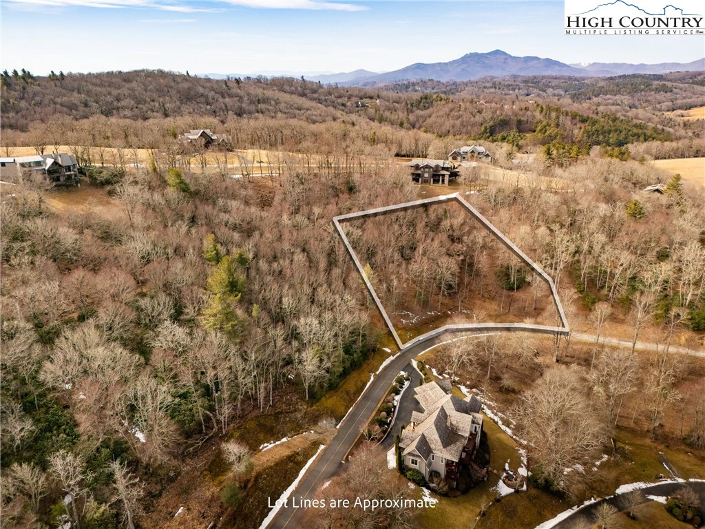 Image number 1 for the current listing