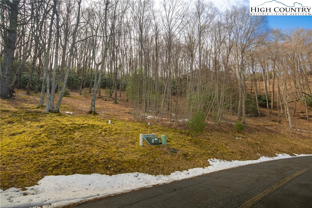 Image number 21 for the current listing