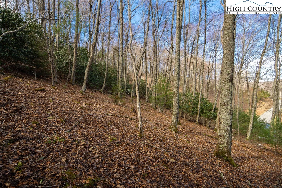 Image number 20 for the current listing