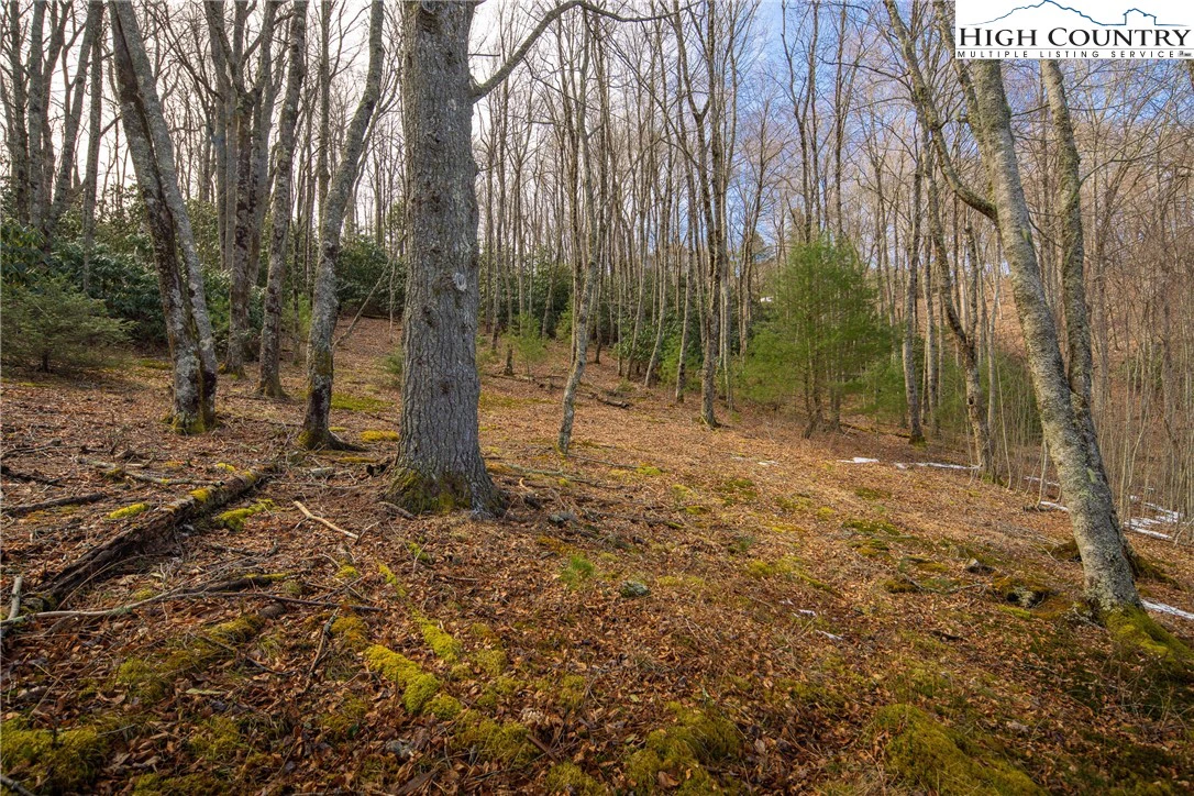 Image number 18 for the current listing