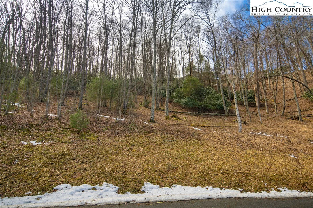 Image number 15 for the current listing