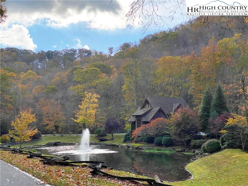 Image number 6 for the current listing