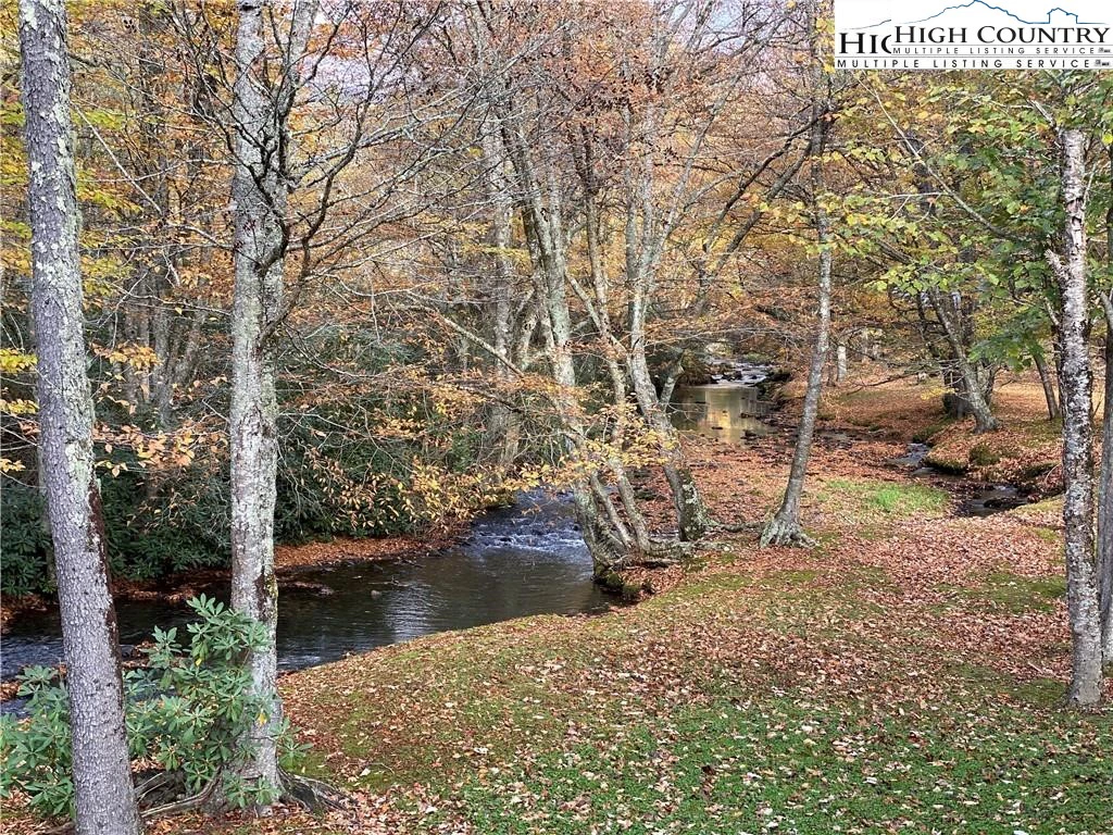 Image number 4 for the current listing