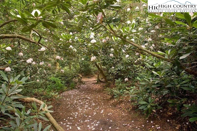 Image number 3 for the current listing