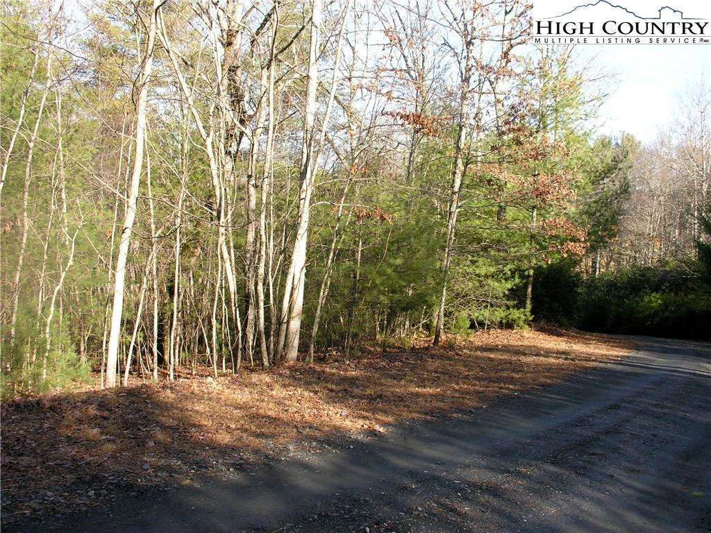 Image number 1 for the current listing