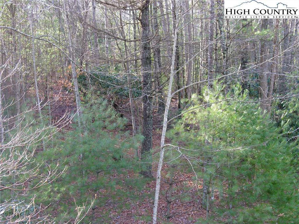 Image number 5 for the current listing