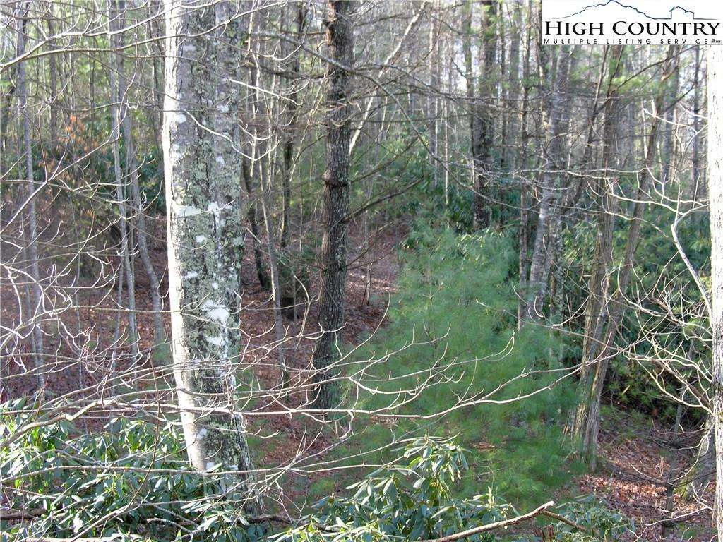 Image number 6 for the current listing