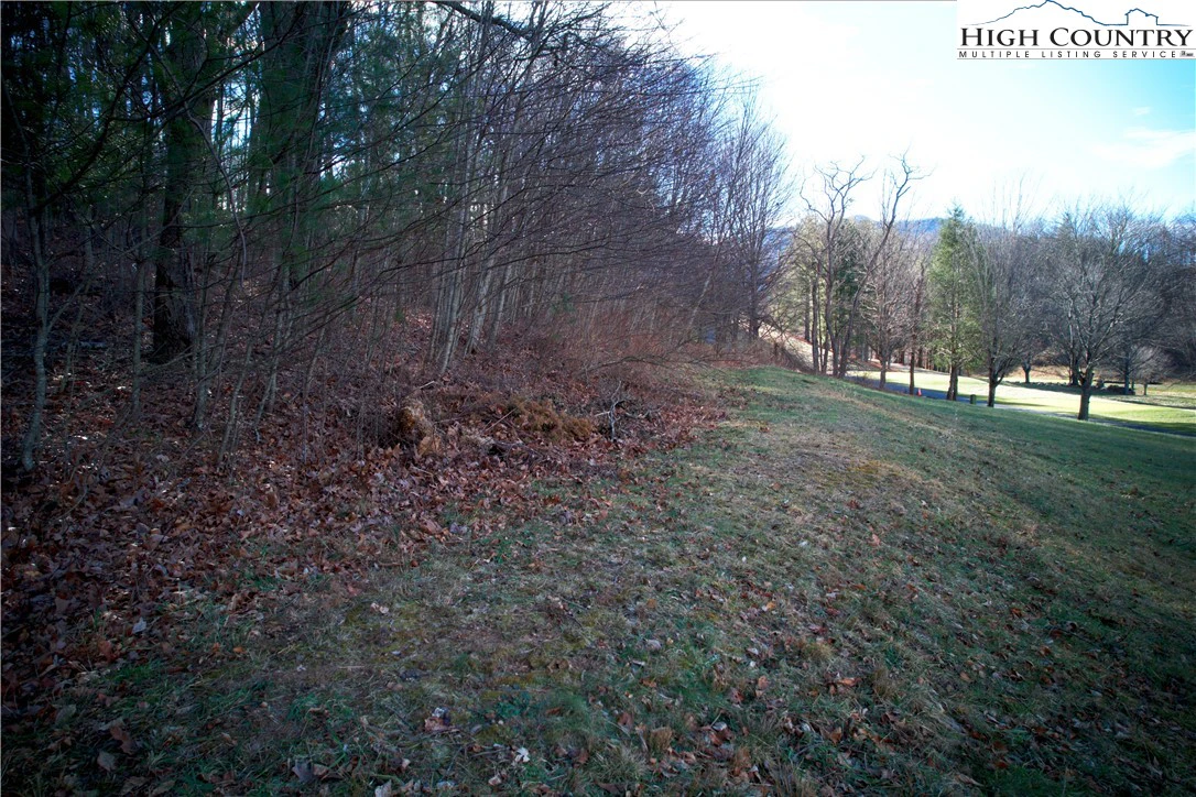 Image number 13 for the current listing