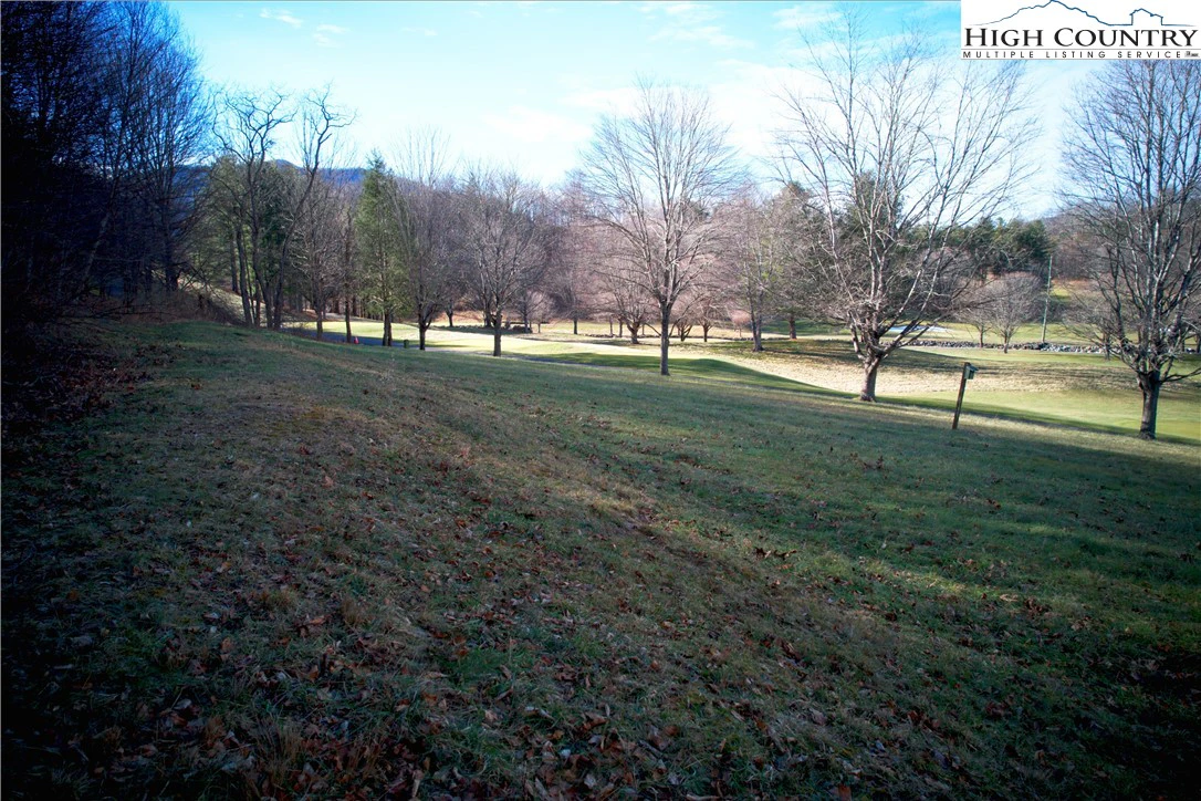 Image number 12 for the current listing
