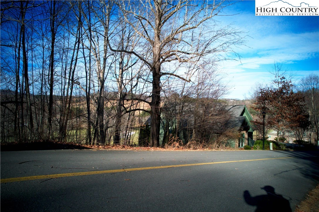 Image number 8 for the current listing