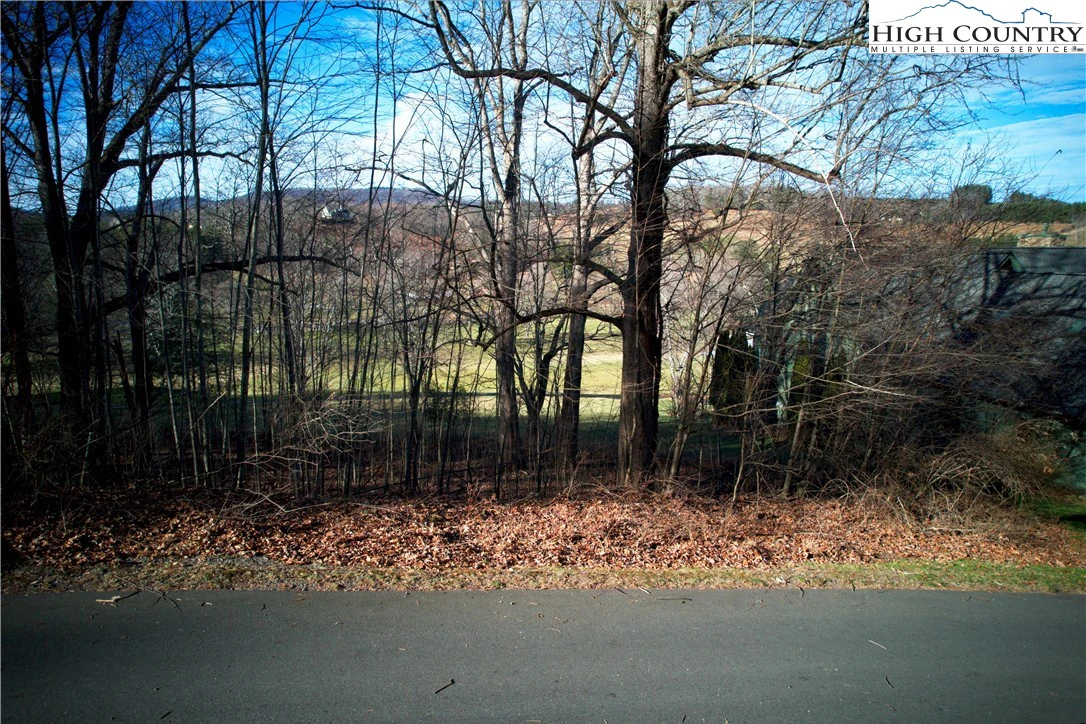 Image number 19 for the current listing