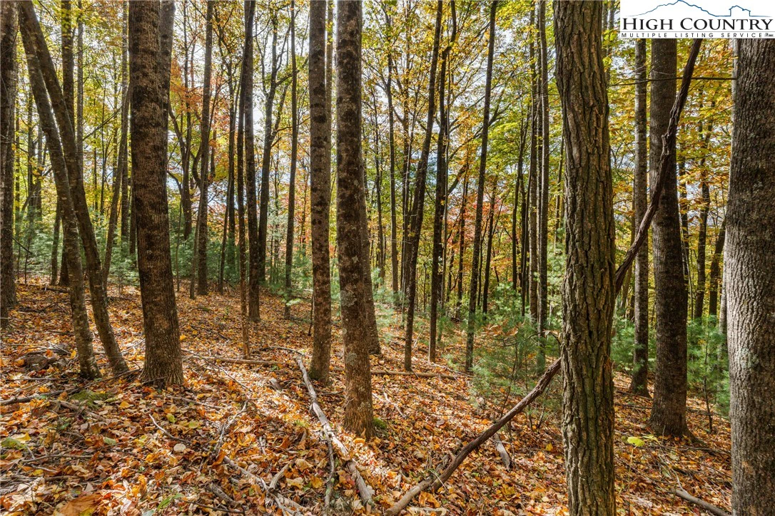 Image number 2 for the current listing