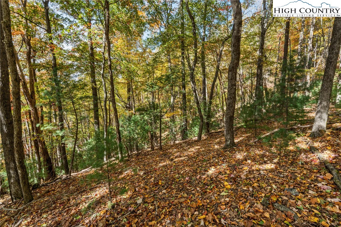Image number 9 for the current listing