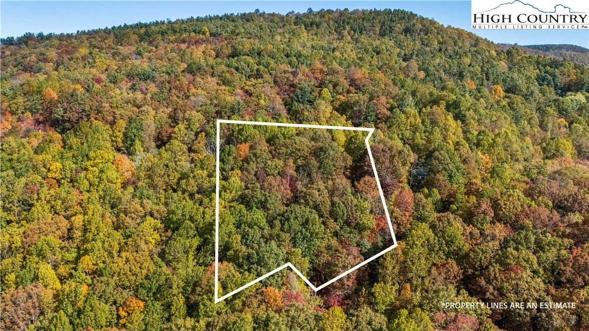 Image number 7 for the current listing