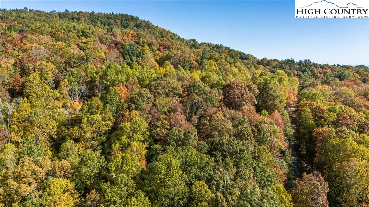 Image number 5 for the current listing
