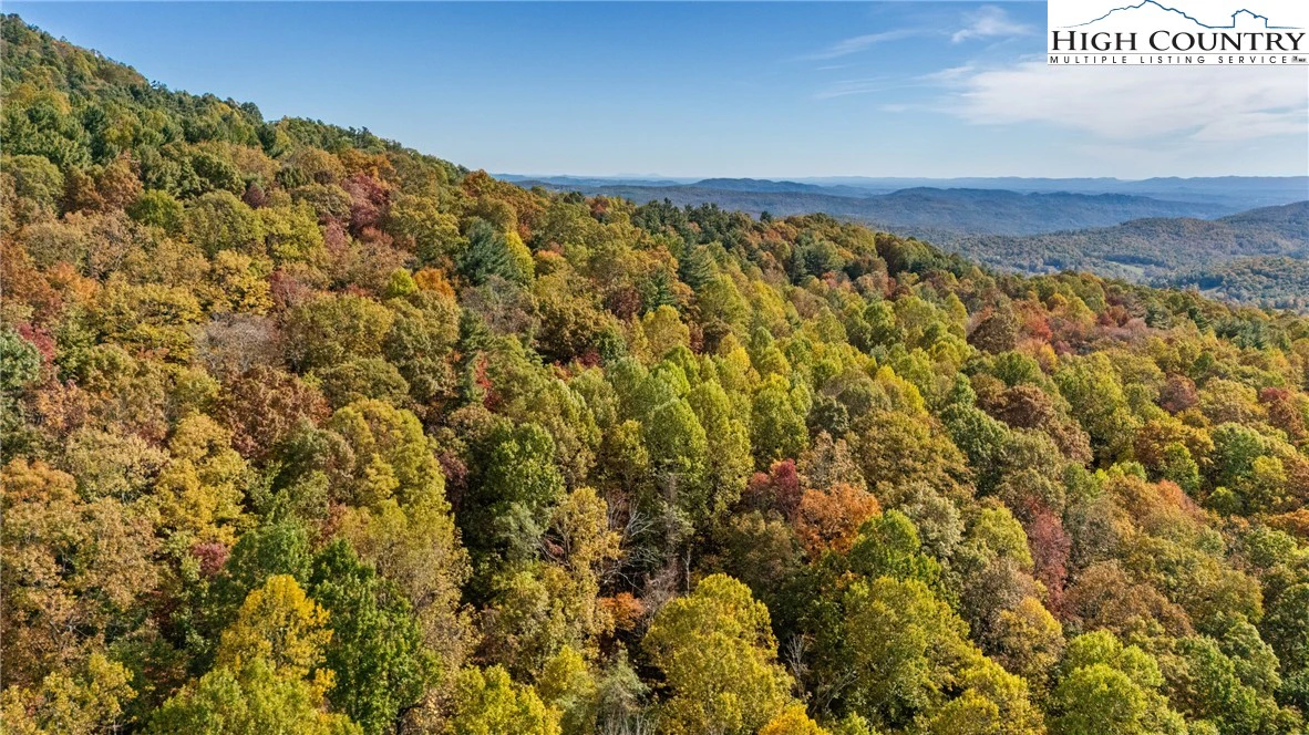 Image number 4 for the current listing