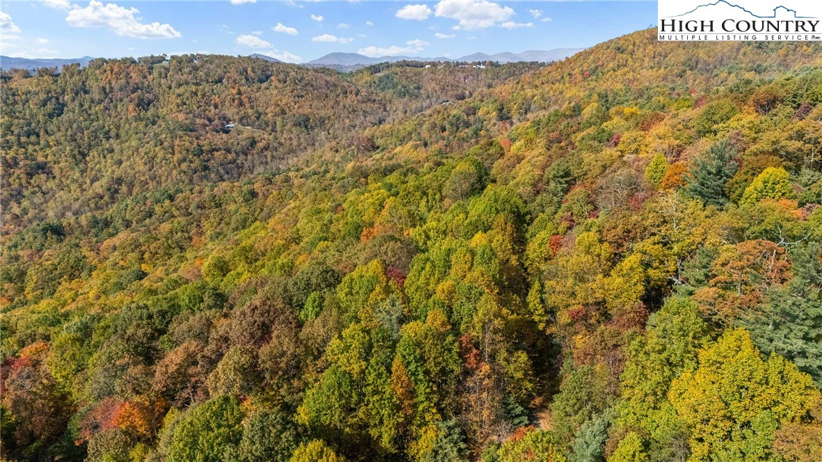 Image number 3 for the current listing
