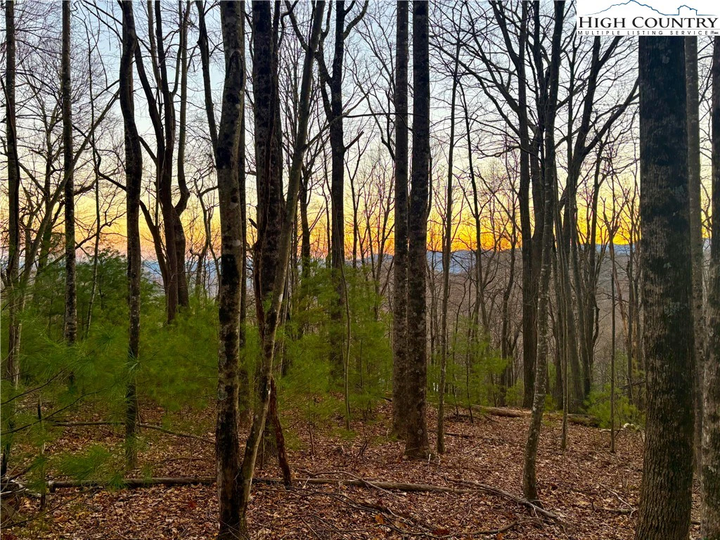Image number 1 for the current listing