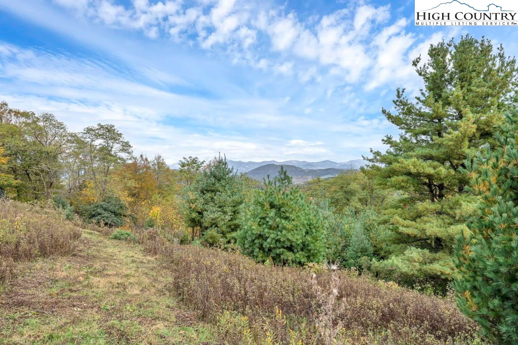 Image number 3 for the current listing