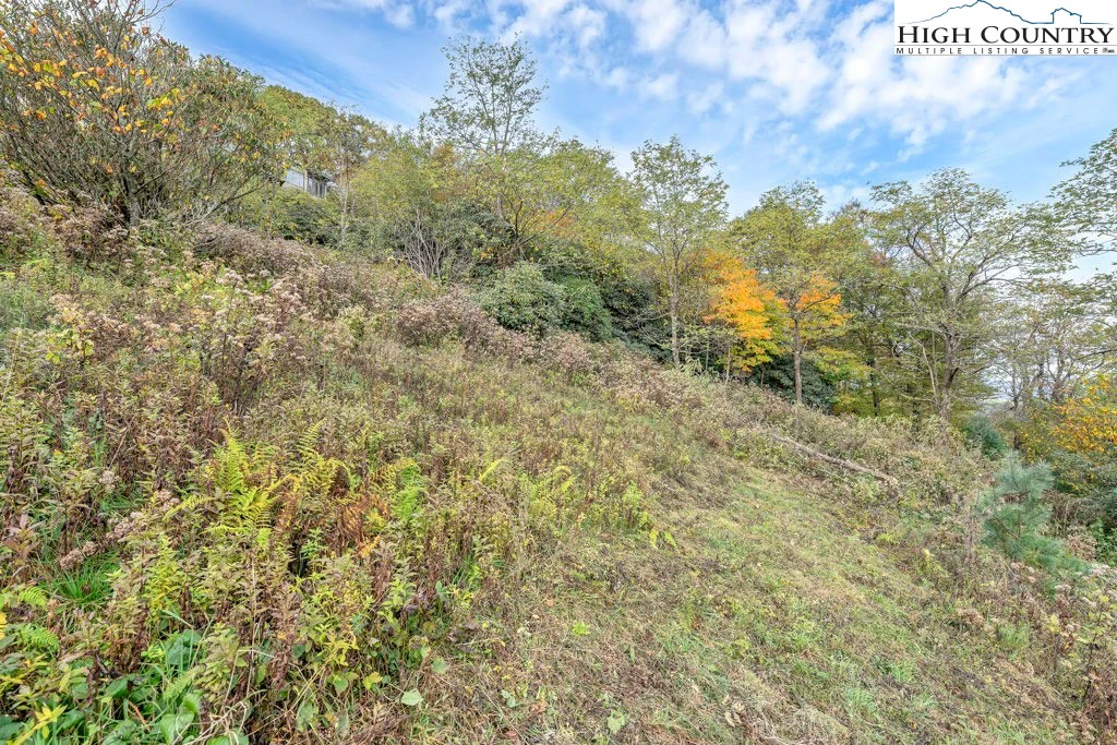 Image number 4 for the current listing