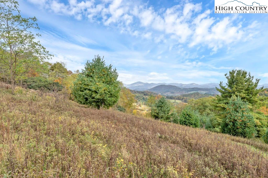 Image number 6 for the current listing