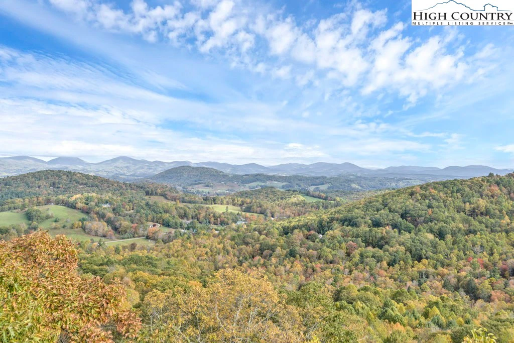 Image number 1 for the current listing