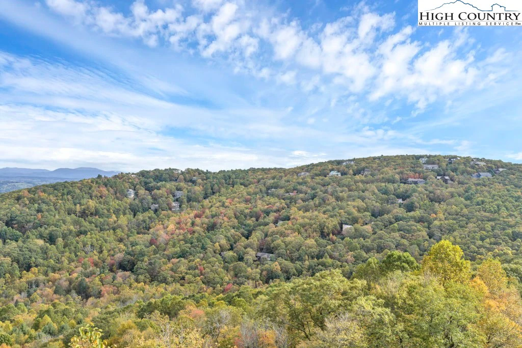 Image number 7 for the current listing