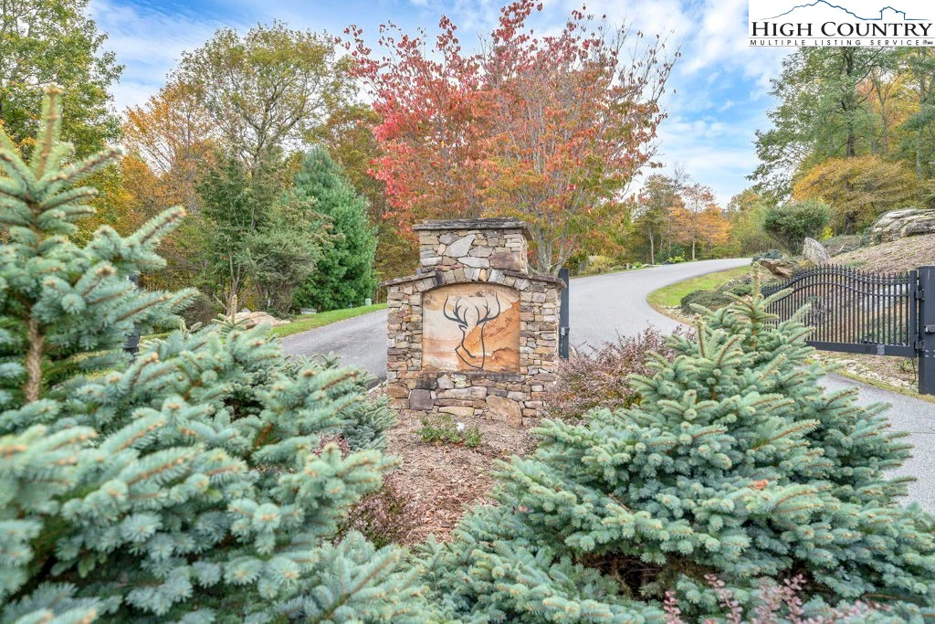Image number 10 for the current listing