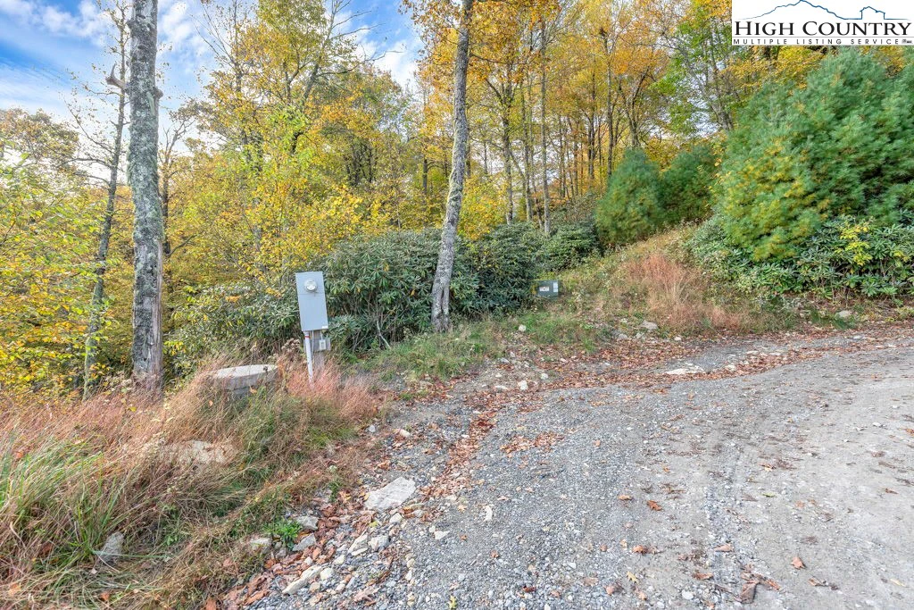 Image number 5 for the current listing