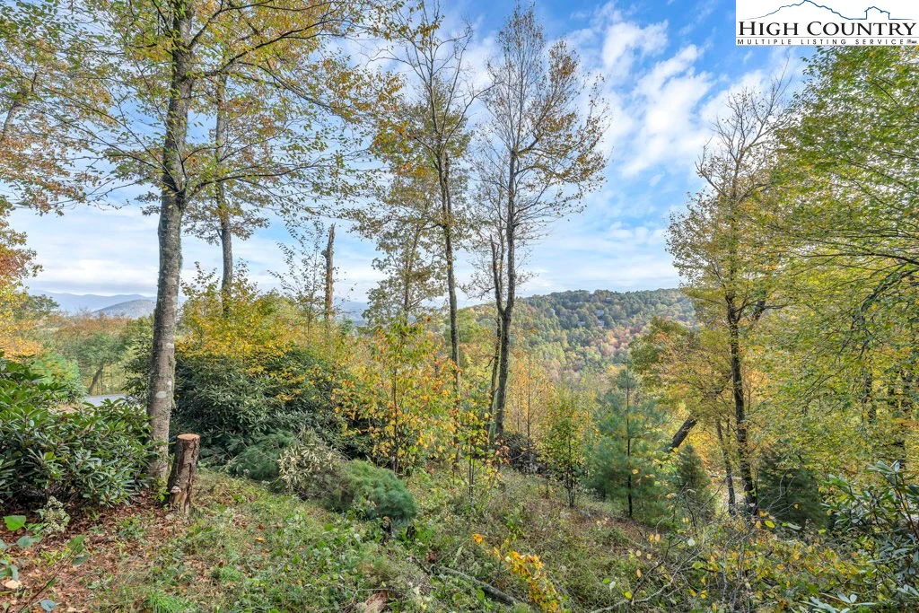 Image number 6 for the current listing