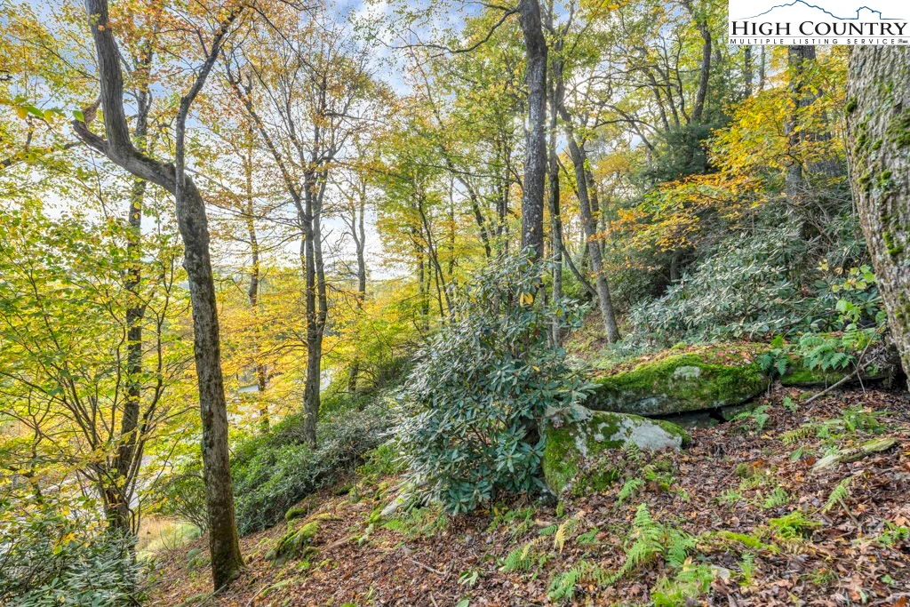 Image number 7 for the current listing