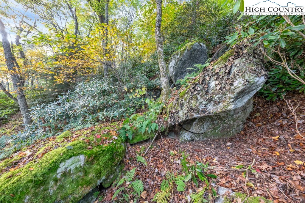 Image number 8 for the current listing