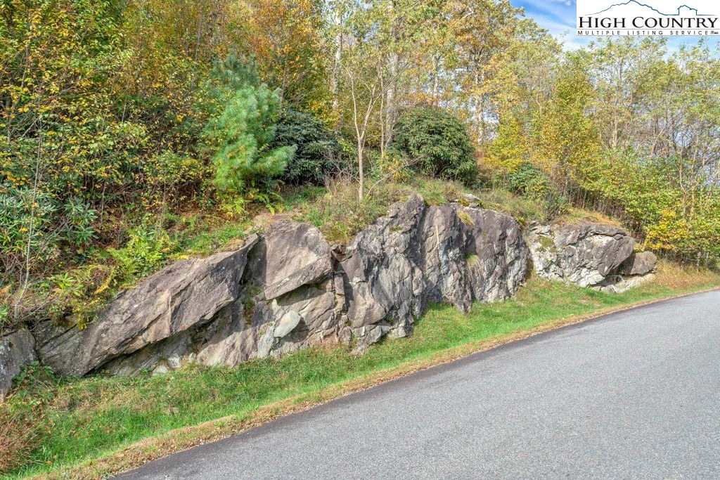 Image number 3 for the current listing