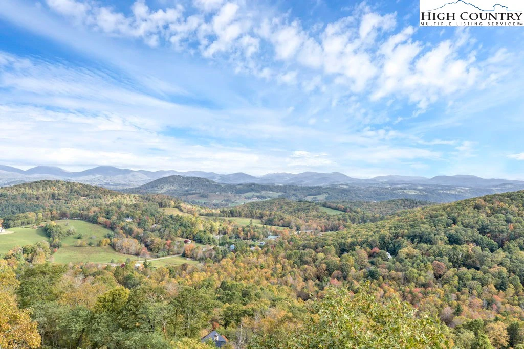 Image number 1 for the current listing