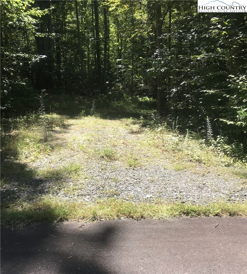 Image number 5 for the current listing