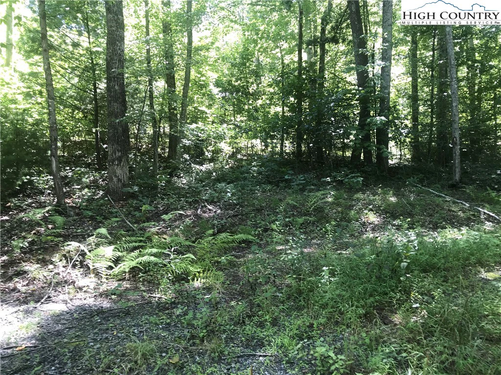 Image number 6 for the current listing