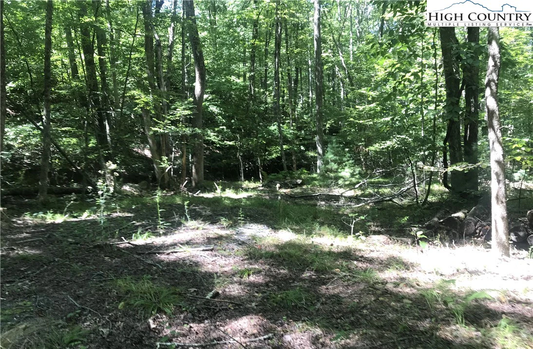 Image number 4 for the current listing