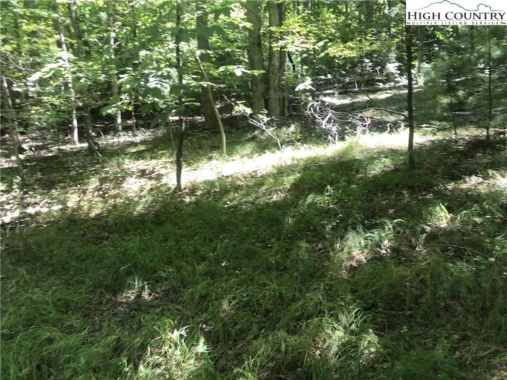Image number 9 for the current listing