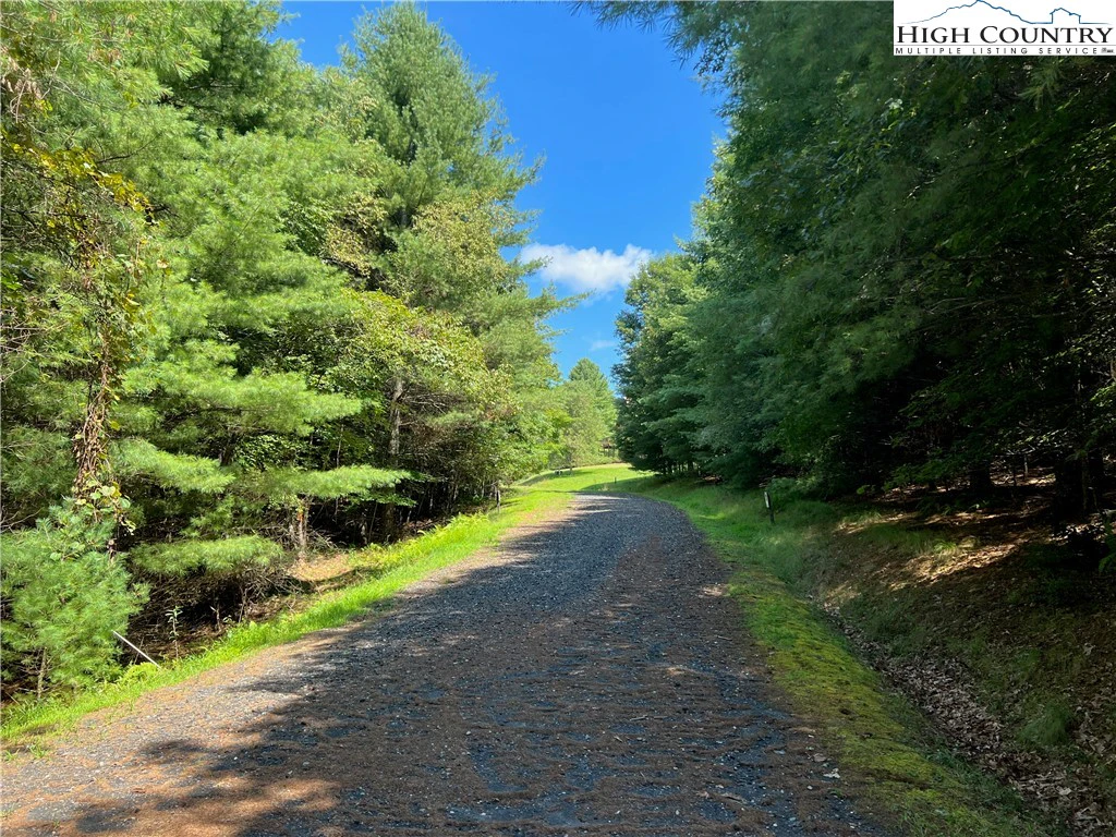 Image number 3 for the current listing