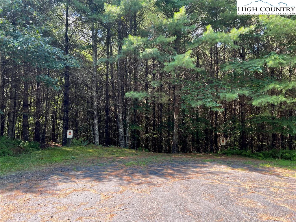 Image number 4 for the current listing