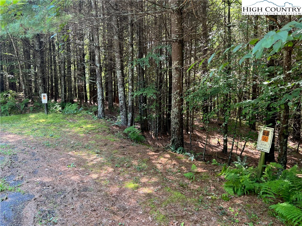 Image number 5 for the current listing